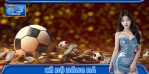 Cá độ bóng đá