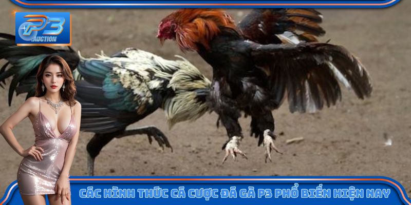 Các hình thức cá cược đá gà P3 phổ biến hiện nay