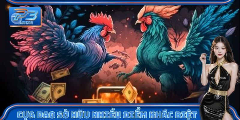 Đá gà cựa dao có nhiều điểm khác biệt